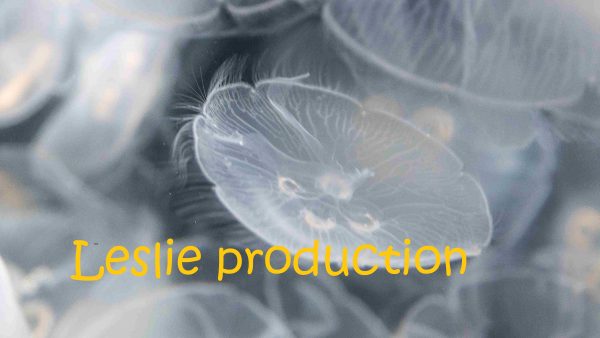 Cadre acoustique - collection M Jardry - Vision Medusa - sens multiples – Image 4