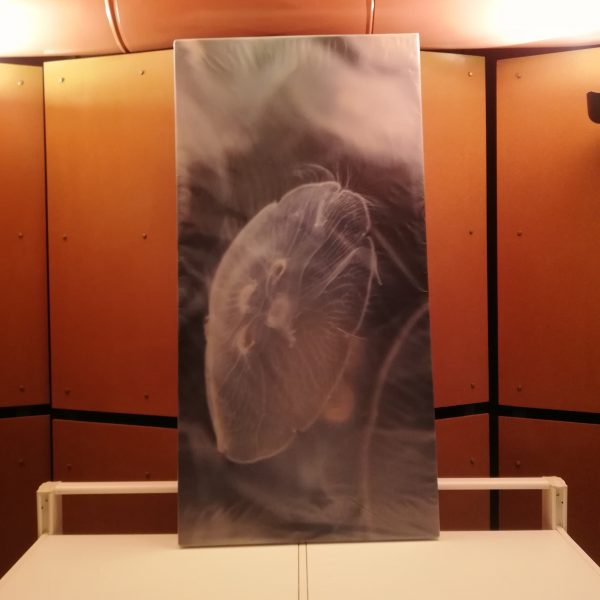 Cadre acoustique - collection M Jardry - Vision Medusa - sens multiples